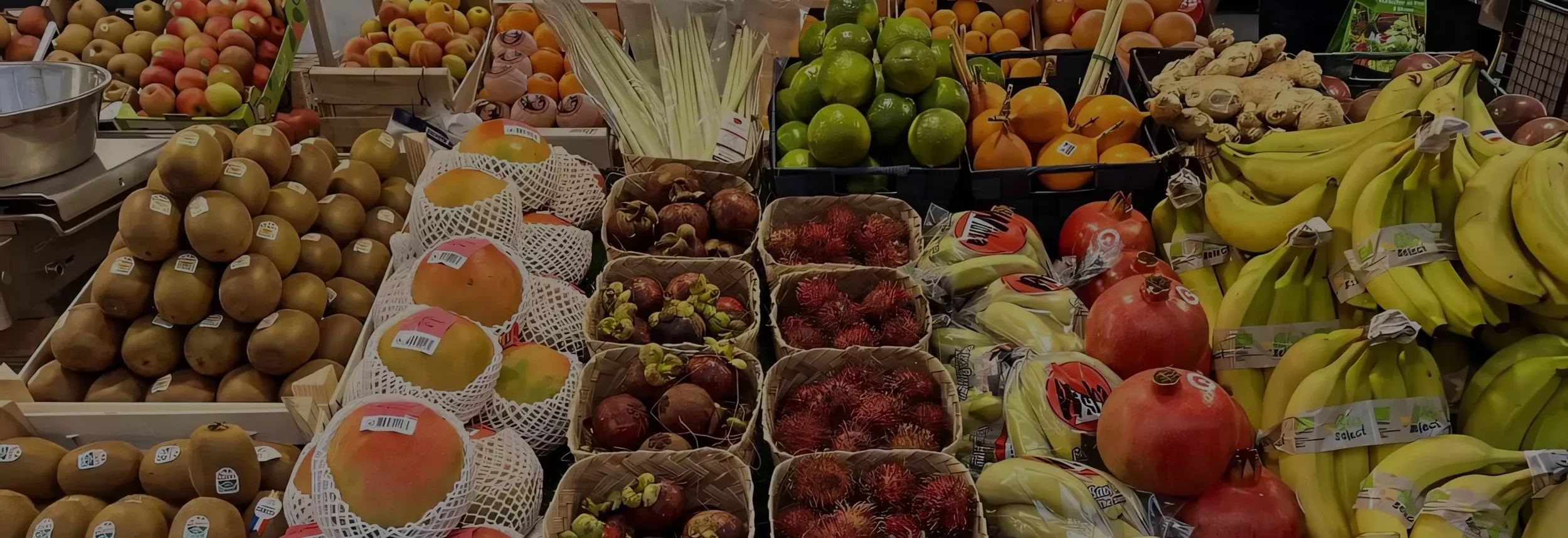 FRUIT GO
